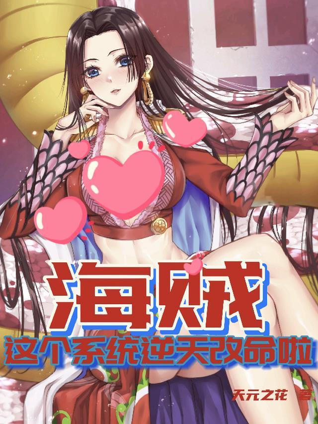 海贼系统类