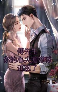 傅先生他的心尖宠txt百度