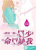 墨少的闪婚秘爱全文免费阅读