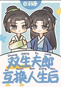 双生夫郎互换人生后番外TXT