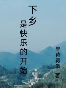 下乡心情