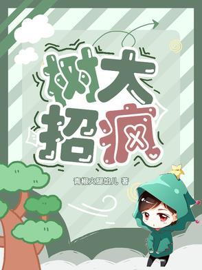 树大招风完整版免费阅读