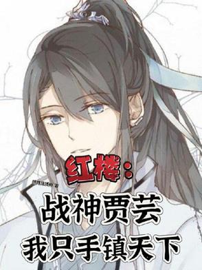 红楼贾家子txt