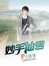 神仙妙手完整版