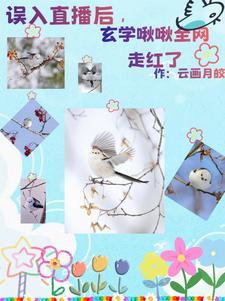 小金乌的作品