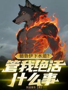 德鲁伊mf