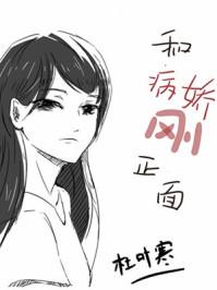 维兰之邀讲的什么